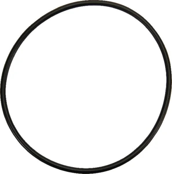Dana Spicer - 001051389 - O-Ring