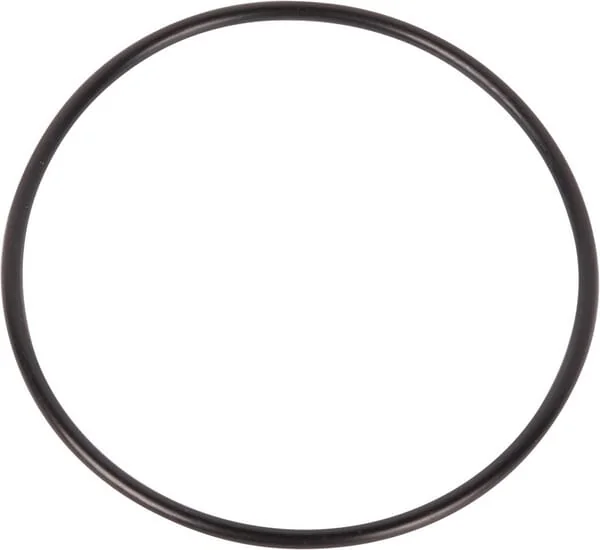 Dana Spicer - 001051420 - O-Ring