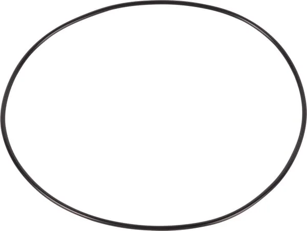 Dana Spicer - 001051480 - O-Ring