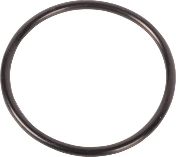 Dana Spicer - 001051607 - O-Ring