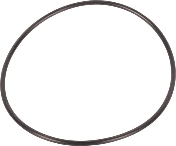 Dana Spicer - 001051629 - Ring