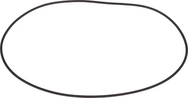 Dana Spicer - 001051642 - O-Ring