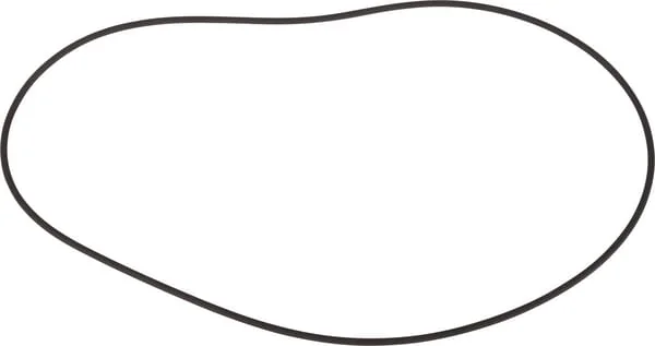 Dana Spicer - 001051647 - O-Ring