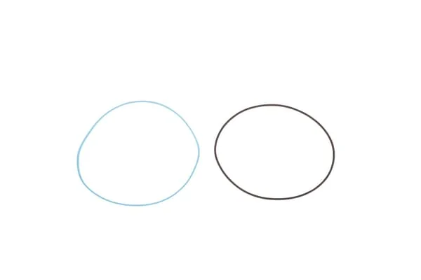Dana Spicer - 001052673 - O-Ring