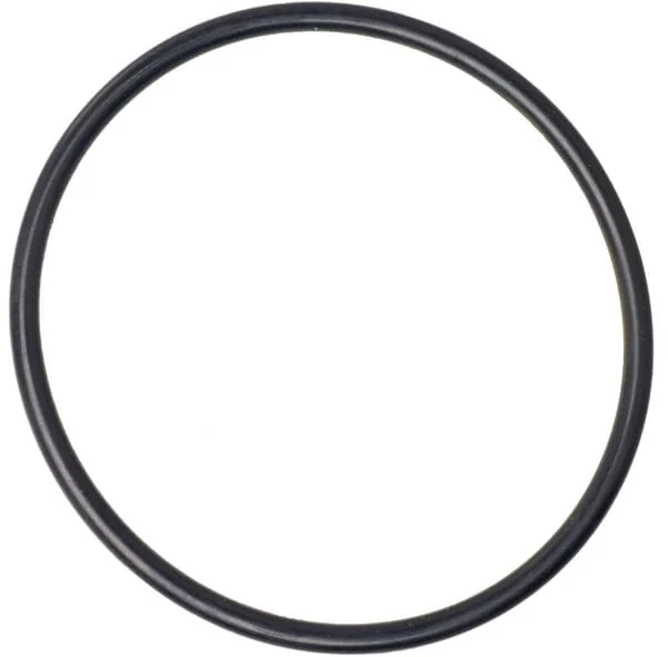 Dana Spicer - 001052823N - O-Ring