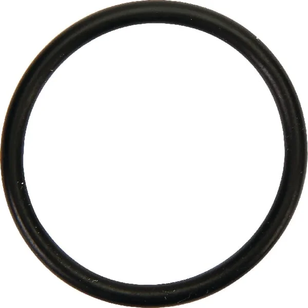 Dana Spicer - 001053158 - O-Ring