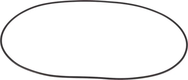 Dana Spicer - 001053471 - O-Ring