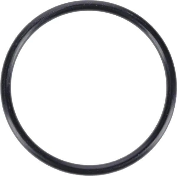 Dana Spicer - 001053758N - O-Ring