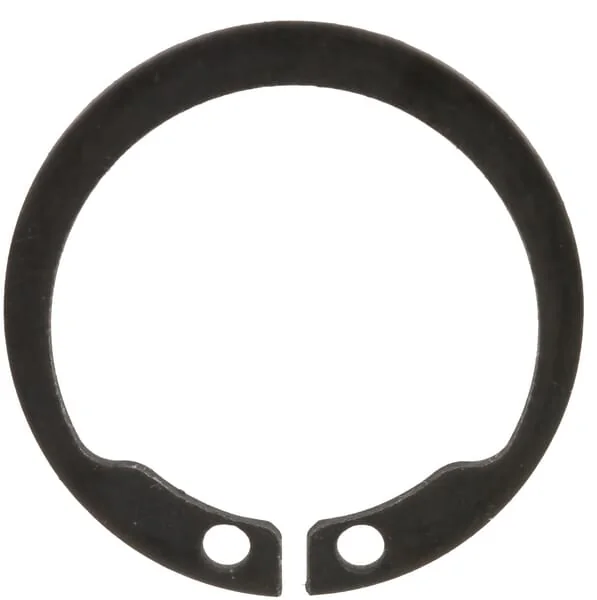 Dana Spicer - 002123426 - Ring Av 18