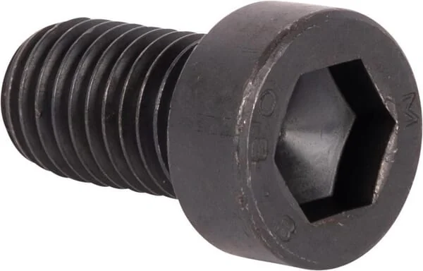 Dana Spicer - 016050437 - Bolt