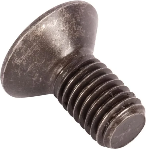 Dana Spicer - 016062059 - Bolt