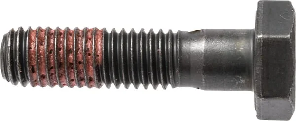 Dana Spicer - 016313721 - Hexagon Bolt