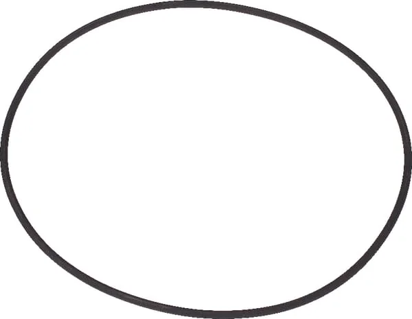 Dana Spicer - 1120700802 - O-Ring