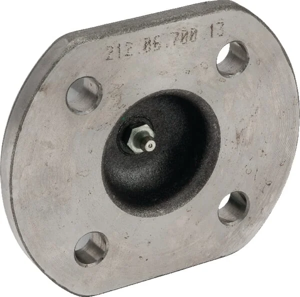 Dana Spicer - 2120670013 - Pin