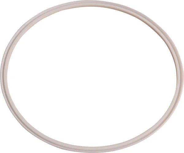 Dana Spicer - 237032 - PTFE Flat Gasket