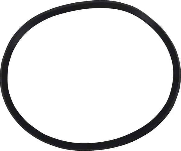 Dana Spicer - 244841 - Rubber Gasket