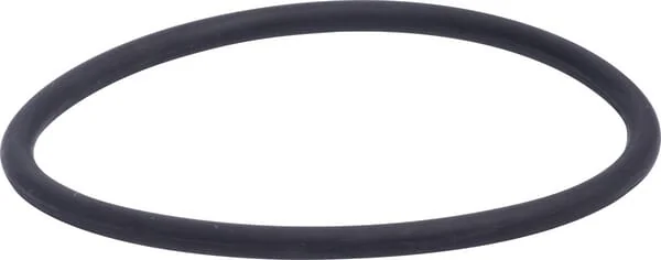 Dana Spicer - 3019927X1N - O-Ring