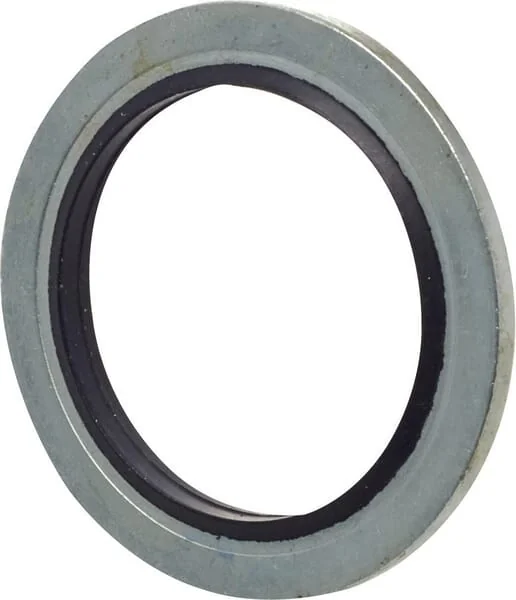 Dana Spicer - 3427185M1N - Seal Washer