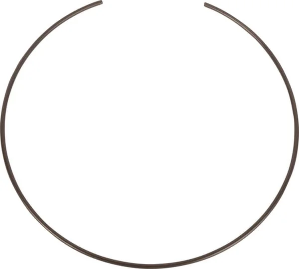 Dana Spicer - 3428523M1N - Circlip