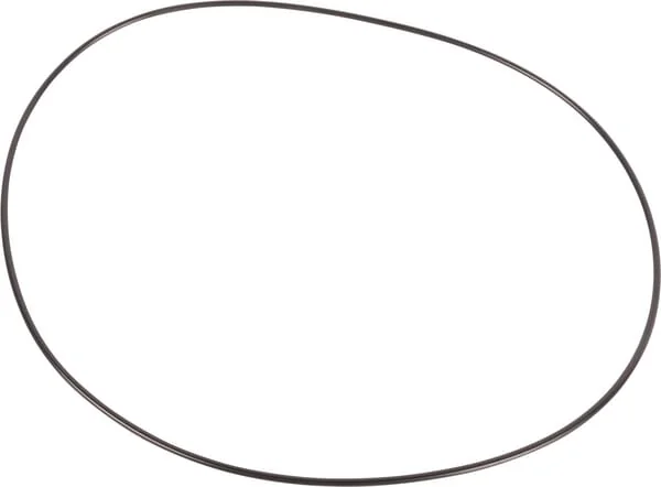 Dana Spicer - 7380708901 - O-Ring