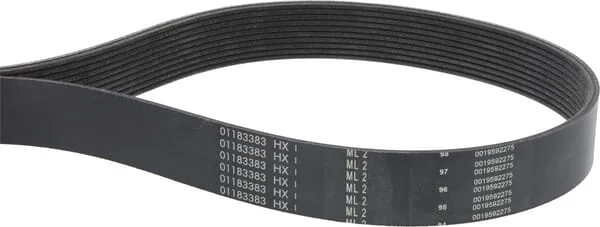 Deutz - 01183383 - V-Ribbed Belt
