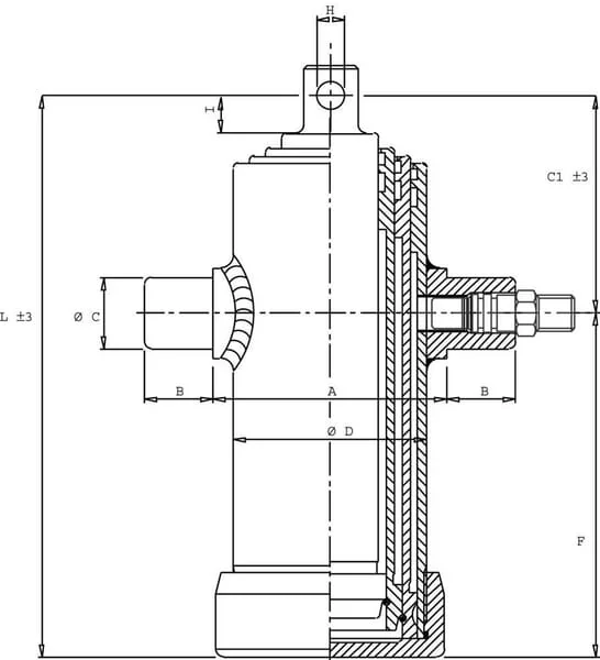 Di Natale Bertelli - TC2036F - Telescopic Cylinder TC 2036 Eye