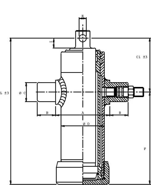 Di Natale Bertelli - TC3023F - Telescopic Cylinder + Eye 695mm