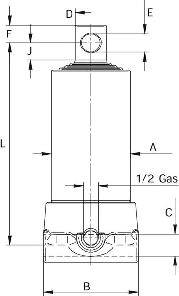 Di Natale Bertelli - TC4627F - Telescopic Cylinder Eye L=1095mm