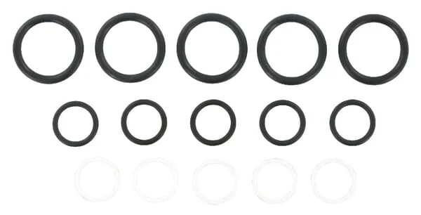 DNP - SKS9F06SEALP005 - Gasket Set For SKS-F-06 (5x)