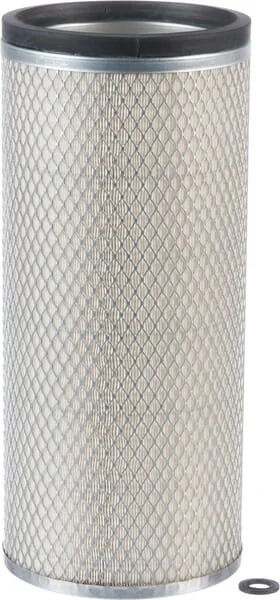Donaldson - P134354 - Air Filter