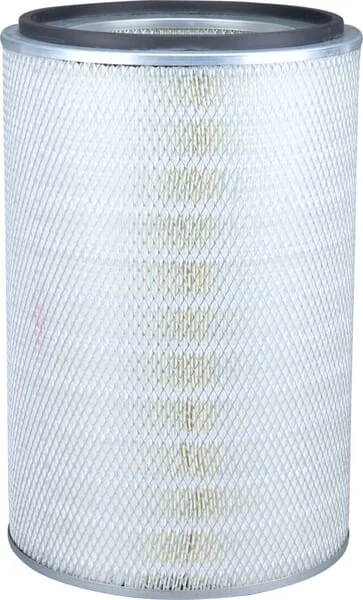 Donaldson - P182002 - Air Filter