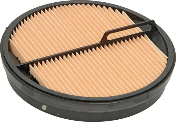 Donaldson - P547520 - Fuel Filter