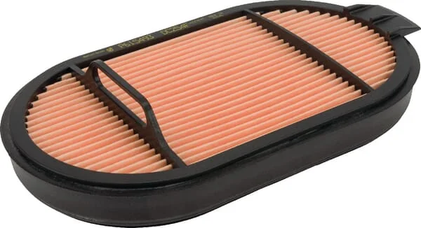 Donaldson - P615493 - Air Filter