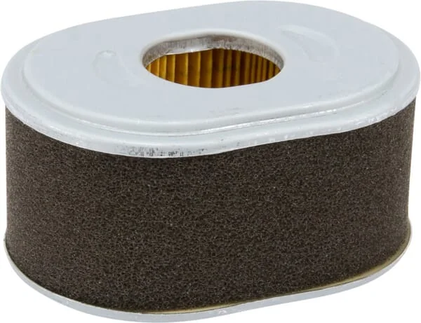 Donaldson - P786789 - Air Filter
