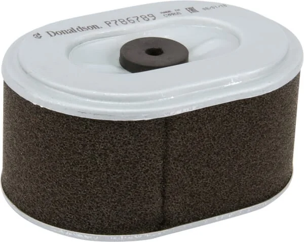 Donaldson - P786789 - Air Filter