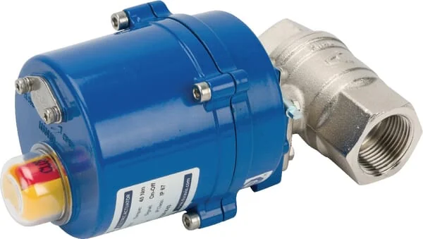 Duravis - BLV025ACT24VACDC - Ball Valve 1" Electric