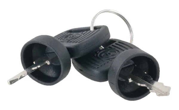 Etesia - ET29534 - Keys (2 Pcs)