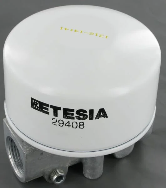 Etesia