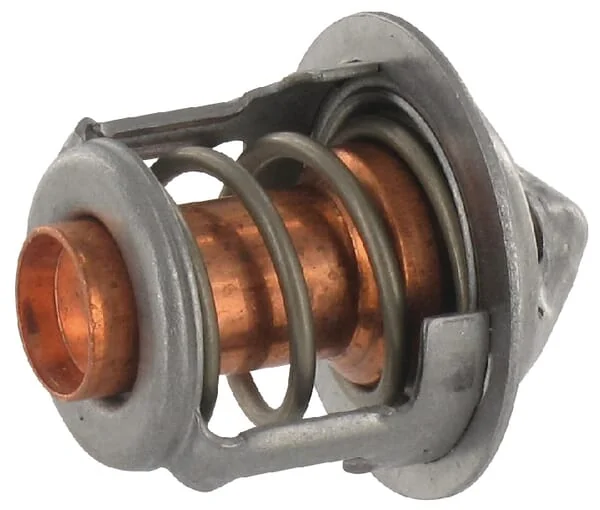 Etesia - ET34392 - Thermostat