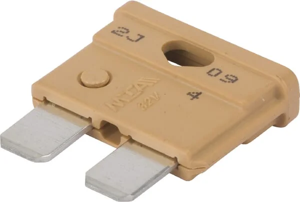 Etesia - ET34862 - 5A Fuse