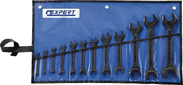 Expert
