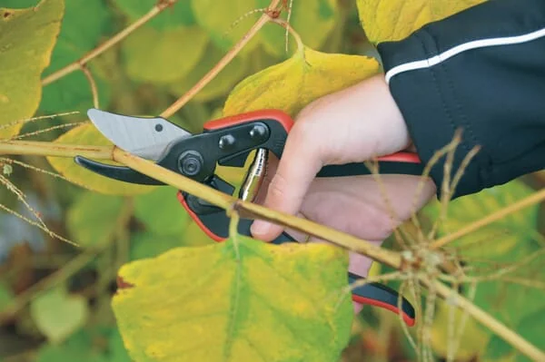 Felco - ES88160S - Pruning Shear Felco Essentiel 160S