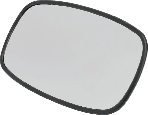 Fendt - E178810150029 - Mirror Head, Rear View