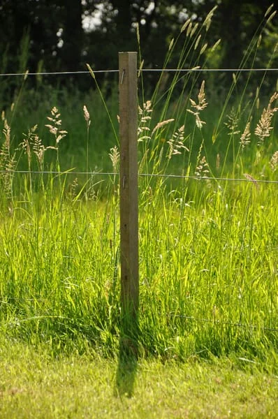 Gallagher - 007601GAL - Wooden Fence Post 150cm X 38mm Brown Gallagher