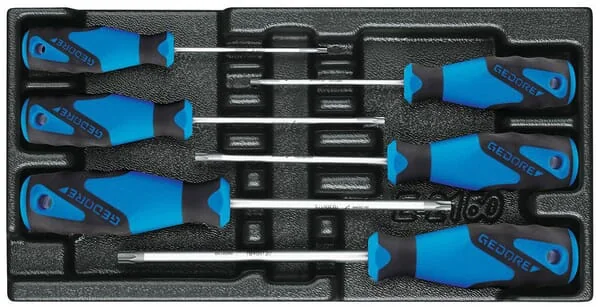 Gedore - 1500ES2163TXB - Module Screwdriverset Torx® 6x