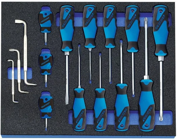 Gedore - 2005CT22160GED - Screwdriver Set in 2/4 CT Tool Module, 15 Pcs