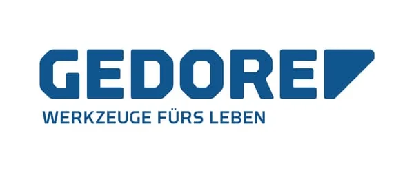 Gedore - DPE1993U10 - Gedore Repair Set 1993U10, Ratchet
