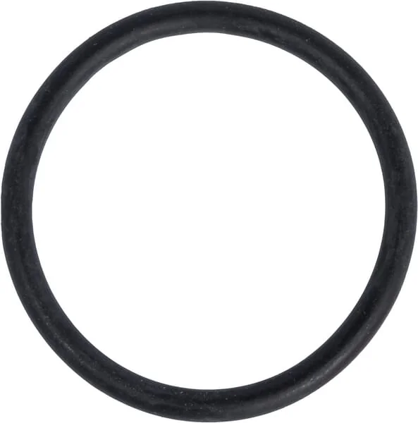 GEOline - K00101034 - Filter Insert 50 Mesh Blue With O-Rings