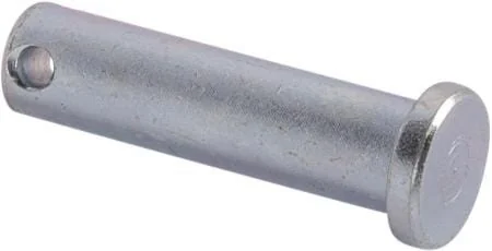 Goldoni - 00041226 - Pin 10x41