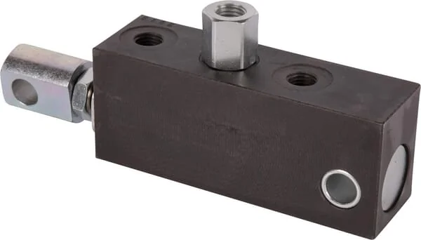 Goldoni - 00042384 - Master Cylinder